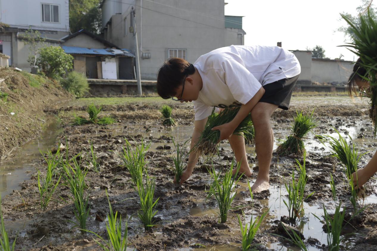 Cache_-2b707943c73238c9.